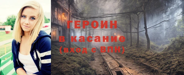 индика Михайлов